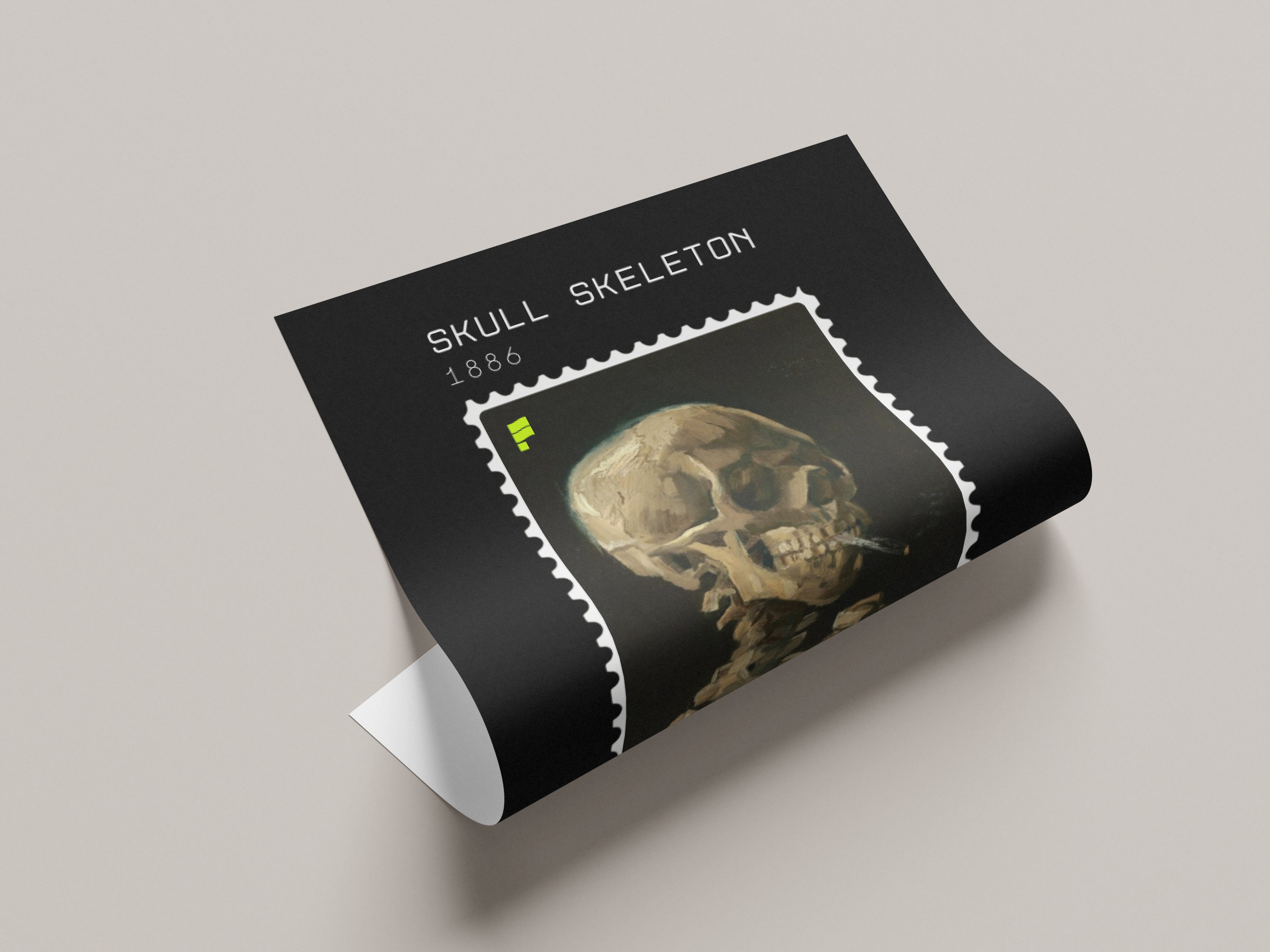 SKULL SKELETON